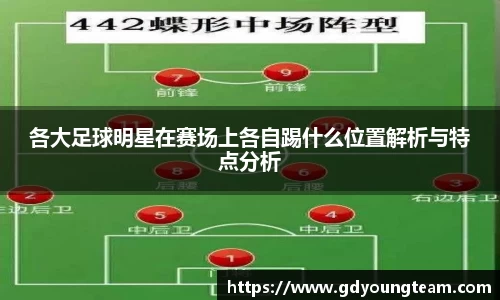 各大足球明星在赛场上各自踢什么位置解析与特点分析